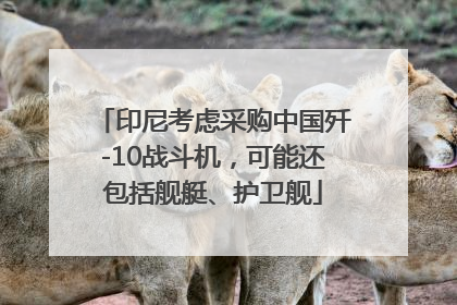 印尼考虑采购中国歼-10战斗机，可能还包括舰艇、护卫舰