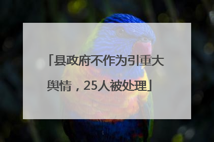 县政府不作为引重大舆情，25人被处理