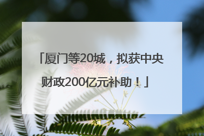 厦门等20城，拟获中央财政200亿元补助！