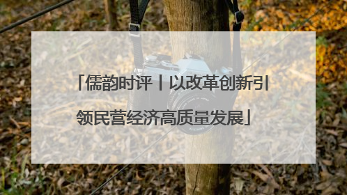 儒韵时评丨以改革创新引领民营经济高质量发展