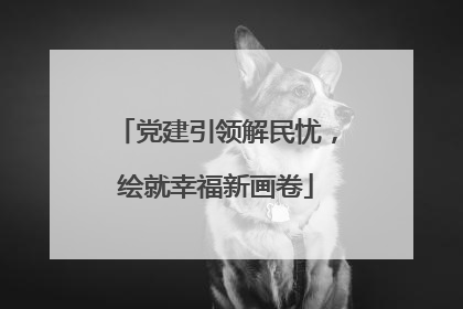 党建引领解民忧，绘就幸福新画卷