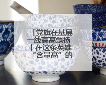 党旗在基层一线高高飘扬丨在这条英雄“含量高”的路上寻初心
