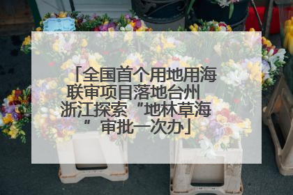 全国首个用地用海联审项目落地台州 浙江探索“地林草海”审批一次办