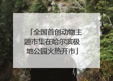 全国首创动物主题市集在哈尔滨极地公园火热开市