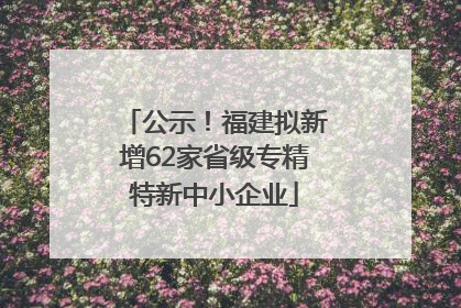 公示！福建拟新增62家省级专精特新中小企业