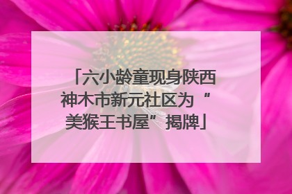 六小龄童现身陕西神木市新元社区为“美猴王书屋”揭牌