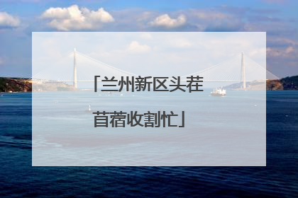 兰州新区头茬苜蓿收割忙