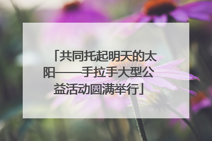 共同托起明天的太阳——手拉手大型公益活动圆满举行