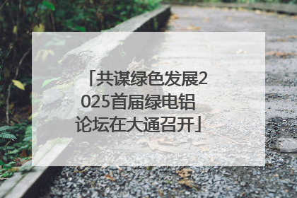共谋绿色发展2025首届绿电铝论坛在大通召开