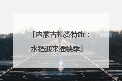 内蒙古扎赉特旗：水稻迎来插秧季
