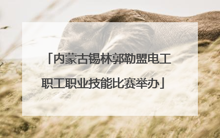 内蒙古锡林郭勒盟电工职工职业技能比赛举办