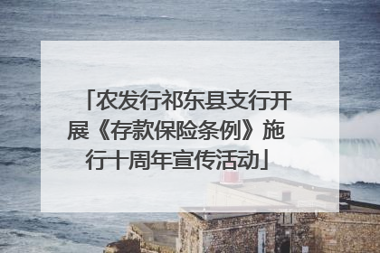 农发行祁东县支行开展《存款保险条例》施行十周年宣传活动