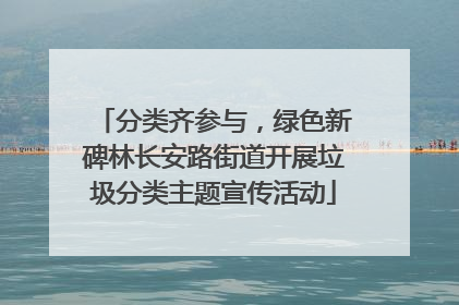 分类齐参与，绿色新碑林长安路街道开展垃圾分类主题宣传活动