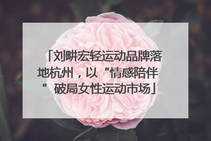 刘畊宏轻运动品牌落地杭州，以“情感陪伴”破局女性运动市场