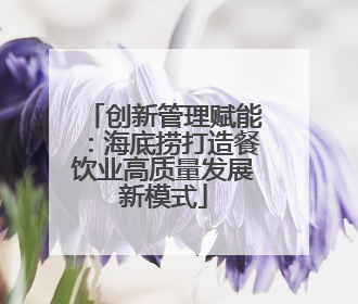 创新管理赋能：海底捞打造餐饮业高质量发展新模式