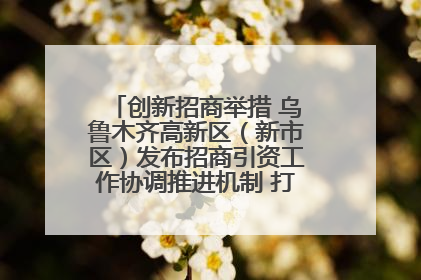创新招商举措 乌鲁木齐高新区（新市区）发布招商引资工作协调推进机制 打造投资发展新高地
