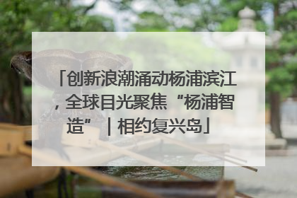创新浪潮涌动杨浦滨江，全球目光聚焦“杨浦智造”｜相约复兴岛