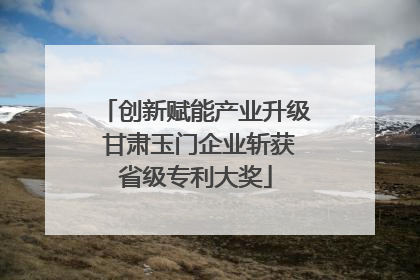 创新赋能产业升级 甘肃玉门企业斩获省级专利大奖