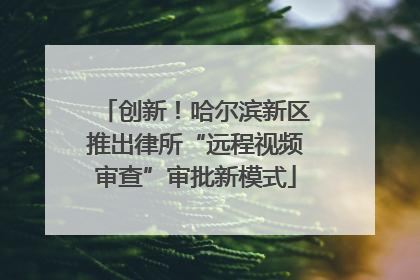 创新！哈尔滨新区推出律所“远程视频审查”审批新模式