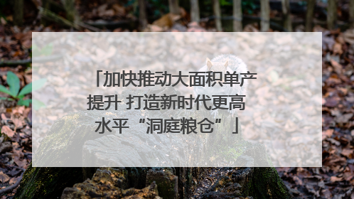 加快推动大面积单产提升 打造新时代更高水平“洞庭粮仓”
