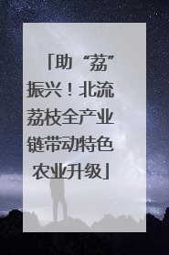 助“荔”振兴！北流荔枝全产业链带动特色农业升级