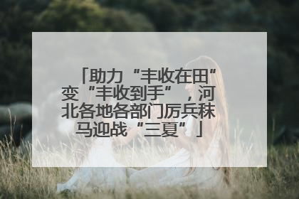 助力“丰收在田”变“丰收到手”，河北各地各部门厉兵秣马迎战“三夏”