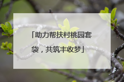 助力帮扶村桃园套袋，共筑丰收梦