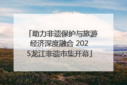 助力非遗保护与旅游经济深度融合 2025龙江非遗市集开幕