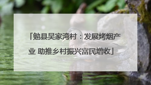 勉县吴家湾村：发展烤烟产业 助推乡村振兴富民增收