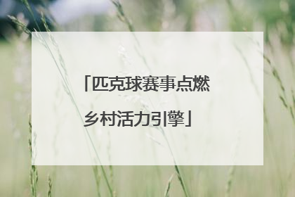 匹克球赛事点燃乡村活力引擎