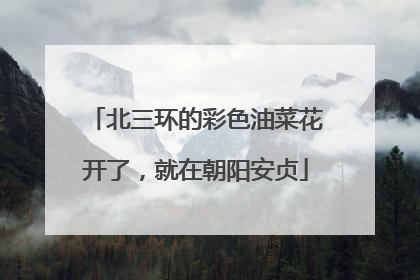 北三环的彩色油菜花开了，就在朝阳安贞