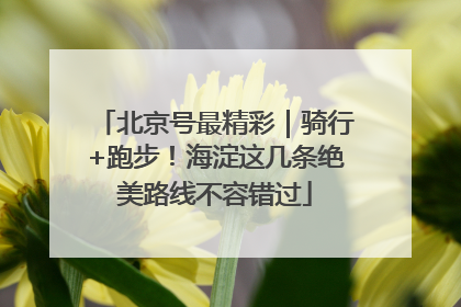 北京号最精彩｜骑行+跑步！海淀这几条绝美路线不容错过