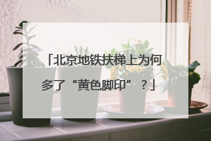 北京地铁扶梯上为何多了“黄色脚印”？
