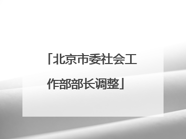 北京市委社会工作部部长调整