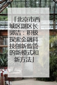 北京市西城区副区长郭洁：积极探索金融科技创新监管的新模式和新方法