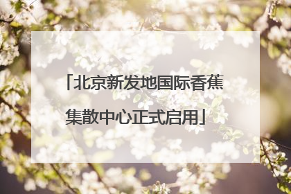 北京新发地国际香蕉集散中心正式启用