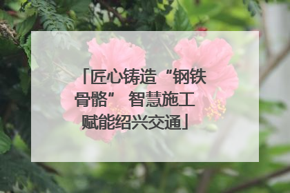匠心铸造“钢铁骨骼” 智慧施工赋能绍兴交通