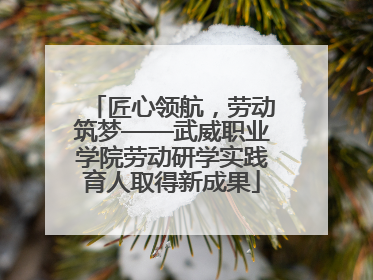 匠心领航，劳动筑梦——武威职业学院劳动研学实践育人取得新成果