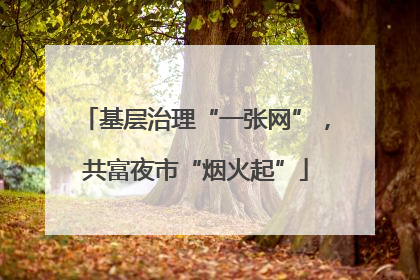 基层治理“一张网”，共富夜市“烟火起”