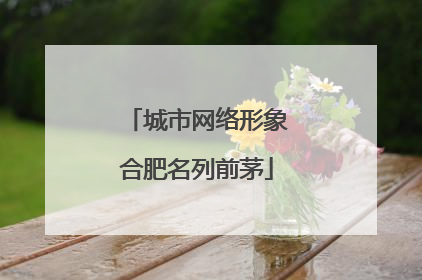 城市网络形象合肥名列前茅