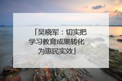 吴晓军：切实把学习教育成果转化为惠民实效
