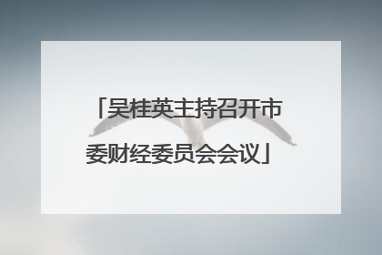 吴桂英主持召开市委财经委员会会议