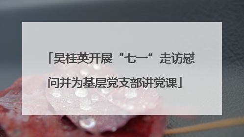 吴桂英开展“七一”走访慰问并为基层党支部讲党课