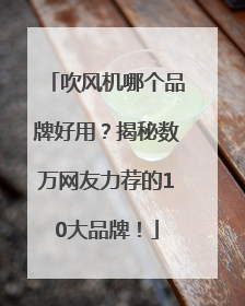 吹风机哪个品牌好用？揭秘数万网友力荐的10大品牌！