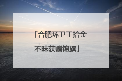 合肥环卫工拾金不昧获赠锦旗