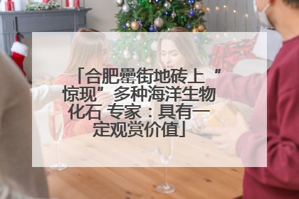 合肥罍街地砖上“惊现”多种海洋生物化石 专家：具有一定观赏价值
