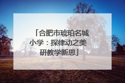 合肥市琥珀名城小学：探律动之美 研教学新思