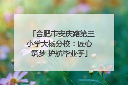 合肥市安庆路第三小学大杨分校：匠心筑梦 护航毕业季
