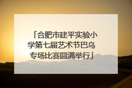 合肥市建平实验小学第七届艺术节巴乌专场比赛圆满举行