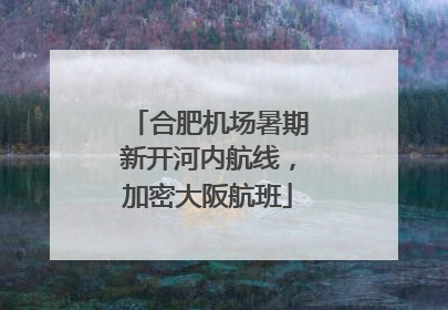 合肥机场暑期新开河内航线，加密大阪航班